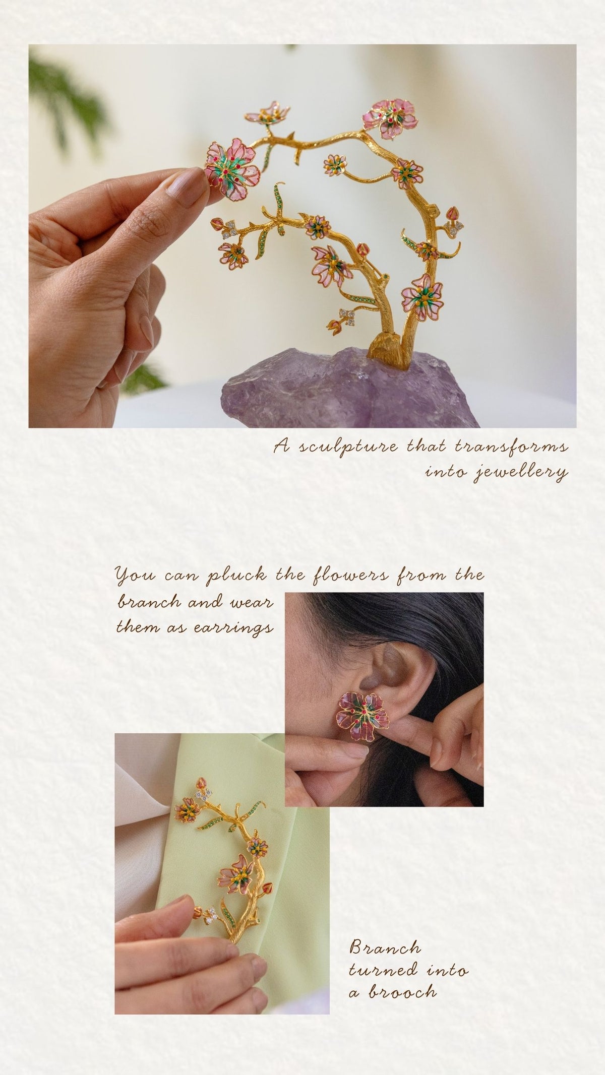 Bloom